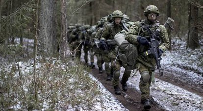 Страны Балтии опасаются сокращения натовских программ