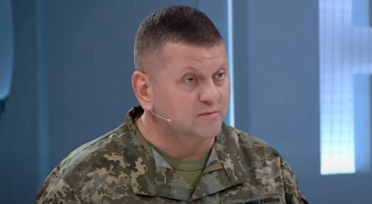 Comandante in capo delle forze armate dell'Ucraina: l'esercito ucraino non accetterà alcun negoziato o compromesso