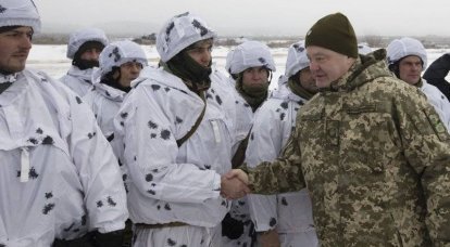 На Украине признали неспособность ВСУ противостоять российской армии