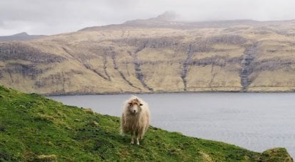 EU, Faroe Islands and the Russian coast - sanctions separately, fish separately