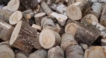 Dnipropetrovsk city council agreed to the proposal of the mayor's office of the Russian city on the exchange of demolished monuments for firewood