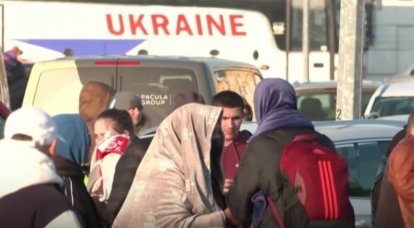 Украинские беженцы превратили квартиру приютившего их немца в «свинарник»