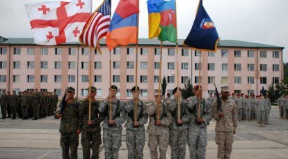 Госдеп США: Вашингтон поддерживает членство Грузии в НАТО и мирное разрешение конфликта на ее территории