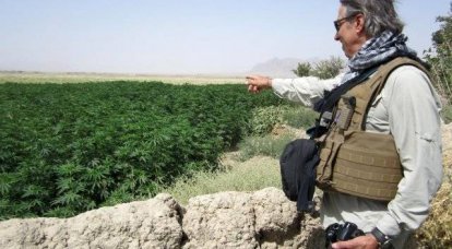 ABD ordusu marihuana yatırımına hazır - komutanlar yasaklıyor