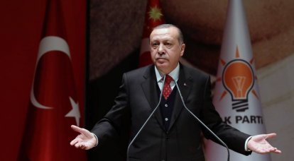 Эрдоган: провокация на учении НАТО оскорбила весь турецкий народ