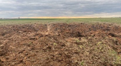 Advisor to the head of the Crimea published a photo from the crash site of a Ukrainian drone shot down by the Russian Armed Forces