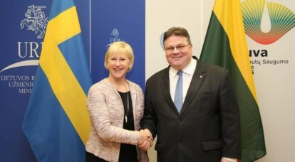 La Lituania "taglia i fili" per acquistare l'elettricità Euro costosa e "giusta"