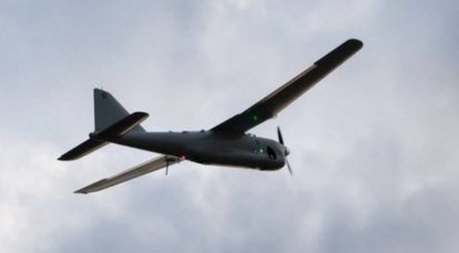 "Ultimo colpo": la milizia abbatté l'UAV UAV