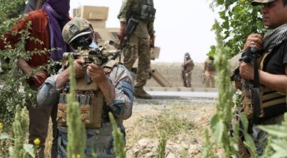 Pentagon'un eski başkanı: Afgan ordusunu kendi imajımız ve benzerliğimizle yarattık ama Afganistan hala ABD değil