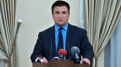 Климкин "настучал" в ЕС на организаторов выборов в Крыму