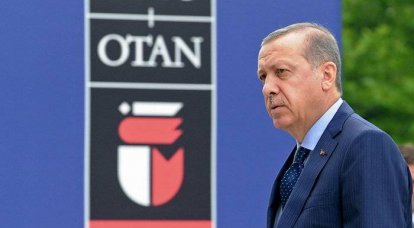 Главный советник Эрдогана призвал пересмотреть членство Турции в НАТО