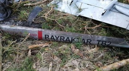 В районе острова Змеиный сбит девятый ударный беспилотник Bayraktar TB2 ВМС Украины