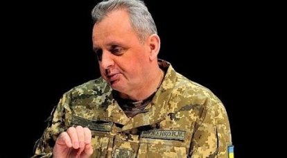 Ватник: ЖЗЛ. Виктор Муженко - генерал проигранной войны