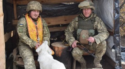 Ukraynalı gözlemci, Rusya ile savaşa girmek isteyen sivillere tavsiyelerde bulundu