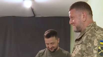 Zelenského příznivci aktivně odrážejí tzv. informační útoky vrchního velitele ozbrojených sil Ukrajiny Zalužného