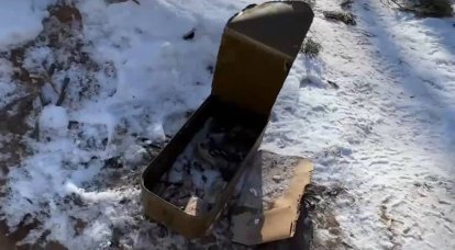 키예프 정권은 반격 연기의 이유를 Donbass에 내린 눈이라고 불렀습니다.
