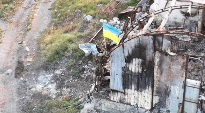 «Успели лишь сфотографироваться»: по установившему на острове Змеиный флаг украинскому десанту нанесён удар с воздуха