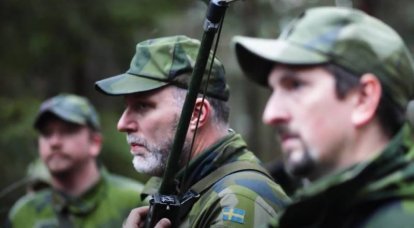 Ради вступления в НАТО Швеция большинством голосов в парламенте меняет конституцию