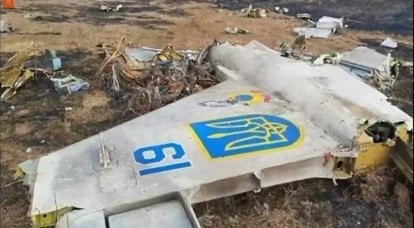 Украинские ВВС: фениксы из пепла или нечто иное?