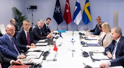 नाटो में फ़िनलैंड और स्वीडन के प्रवेश के बारे में व्हाइट हाउस तुर्की पर दबाव बनाने का इरादा नहीं रखता है