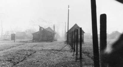 Los medios alemanes llamaron al ejército estadounidense el libertador de prisioneros de Auschwitz