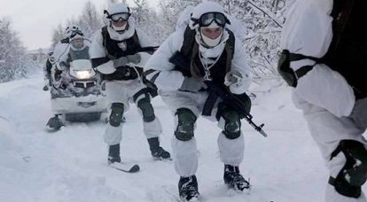 Проведена проверка боеготовности личного состава арктической бригады СФ РФ