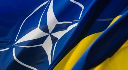 Ukrayna Silahlı Kuvvetlerinin NATO'ya girişi konusunda Darwin yoldaşla anlaşmazlık