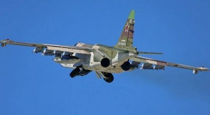Российская авиация нанесла удар по месту размещения украинской ДРГ на острове на Днепре