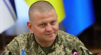 Rada의 대통령 세력 구성원: 우크라이나 국군 총사령관 자리에서 Zaluzhny를 대체할 사람이 누구인지 결정해야 합니다.
