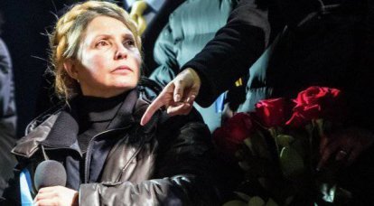 Нашла коса на сектор. Под силу ли Юлии Тимошенко остановить национал-социалистическую революцию на Украине