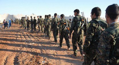 Курдские отряды выбили террористов из 7 деревень на севере Сирии