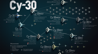 다목적 전투기 Su-30의 가족. Infographics