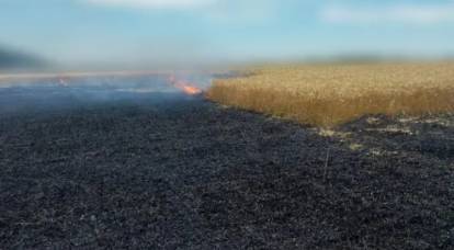 Украинская сторона огневое поражение машин ЗРК С-300 под Одессой представила как «удар «Искандером» по пшеничному полю»
