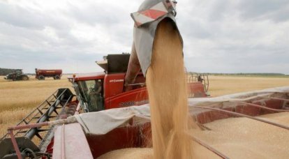 Lavrov: Na ausência de mudanças, Moscou partirá do fato de que o negócio de grãos não está mais funcionando
