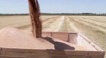 Страны БРИКС поддержали российскую инициативу о создании собственной зерновой биржи