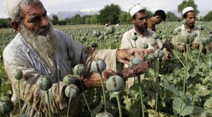 МИД РФ: Антинаркотическая компания США в Афганистане провалилась