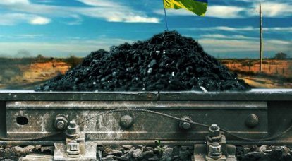 Kiew unter einem Ultimatum oder kein Semenchenko – kein Problem?
