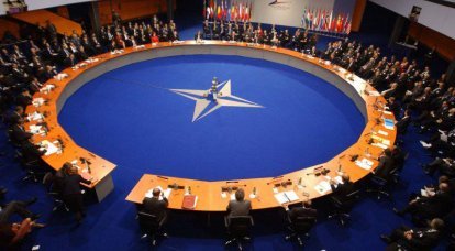 Грузия в НАТО: вступить или не вступить?