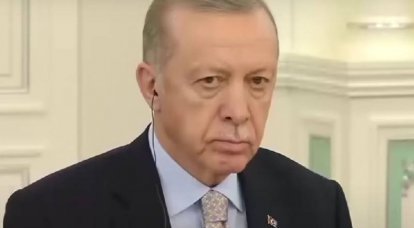 Президент Турции Эрдоган отрицательно оценил роль Запада в конфликте на Украине
