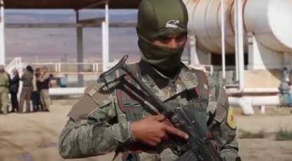 Le formazioni curde hanno annunciato la sospensione delle operazioni congiunte con gli Stati Uniti nel nord della Siria a causa della posizione della Turchia