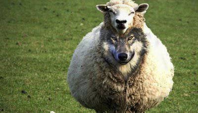 About wolves in sheep's clothing