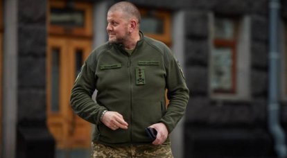 Немецкая пресса: Популярный украинский генерал сменит Зеленского на посту президента после войны