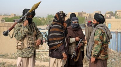 Россия пригрозила Талибану «большими потерями» в случае создания угрозы безопасности союзникам