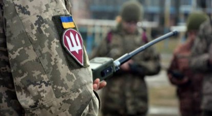 “100명 중 XNUMX명 남을 것”: 우크라이나 자원봉사 규모