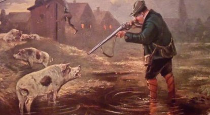 “Pig War”: how an episode with a pig almost caused a war between the USA and Great Britain