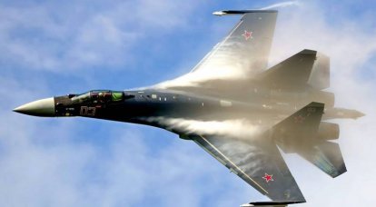 Су-35 эффектно обгоняет Су-30СМ в сирийском небе