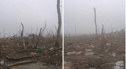 São mostradas as consequências do impacto do fogo da artilharia das Forças Armadas da RF nas posições ucranianas em uma das plantações florestais.