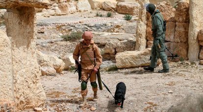Российские саперы поделятся сирийским опытом с армиями других стран