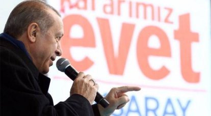 Эрдоган: "Власти Нидерландов - это фашисты"