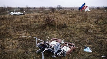 独特的“ Bellingcat”称波音777在Donbass坠毁为“有罪”。 他们竟然是...普京和Shoigu